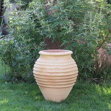 Terracotta Amphore Ficus 50 cm