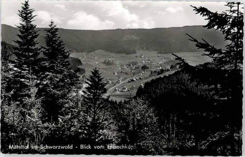 Mitteltal - ,