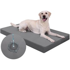Hundebett orthopädisch