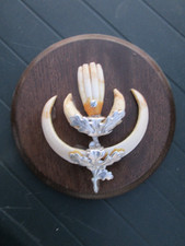 Hauerwaffen Wildschwein Keiler siehe Fotos