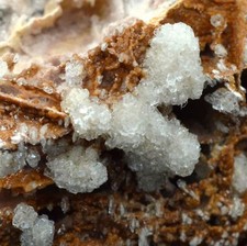 Calcit Gips 78 Gramm -