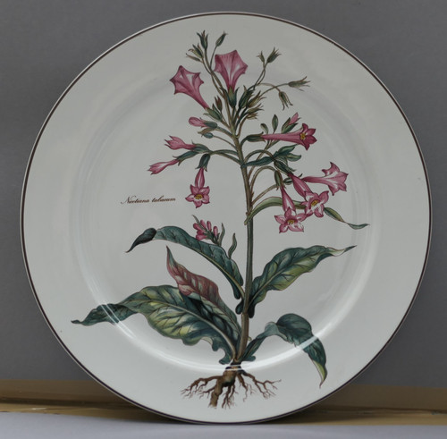 Villeroy boch botanica - villeroy,