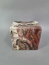 versteinertes Holz aus