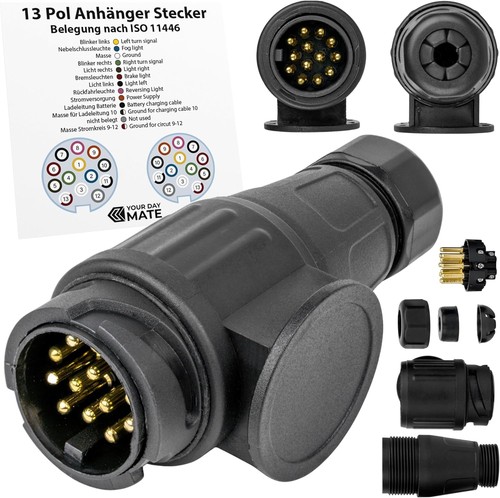 Poliger anhänger stecker - 13,