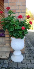 2 große sehr schöne Blumenkübel, massiv Beton , sehr schwer