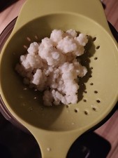 5g Aktive Tibetische Kefir