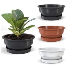 Pflanzschale mit Untersetzer