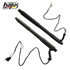 2x Original Hajus