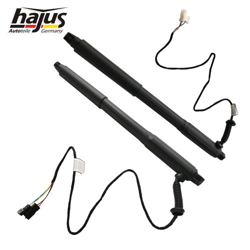 Original hajus - 2x,