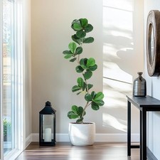Künstlicher ficus lyrata - künstlicher,