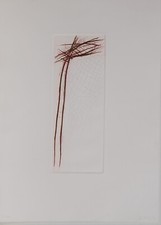 Heinz-Dieter Pietsch /