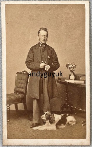 Cdv spaniel hund mann von - spaniel,