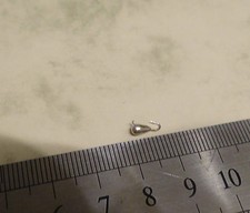 EISANGELN.MORMYSCHKA. aus