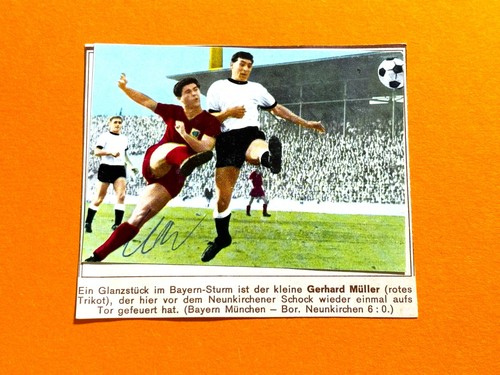 Sicker verlag tausend tolle - sicker-verlag,