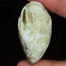 127.35 Cts Natürlich Schnecke