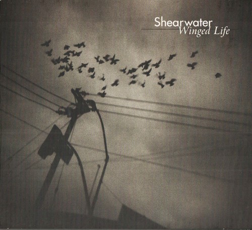 Shearwater winged life cd - winged,