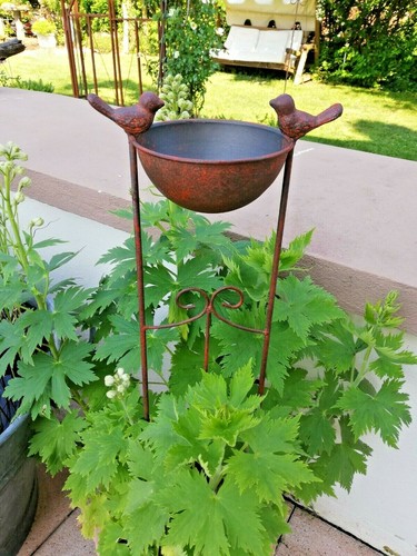 Dekorative vogeltränke - dekorative,