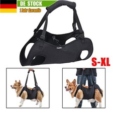 Hundetransporter älterer