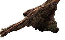 Terrarium Wurzel Holz mit