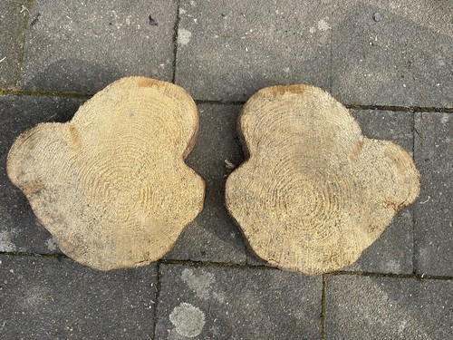 Baumscheiben tanne - 2,