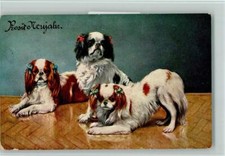 10524022 - Drei suesse Hunde