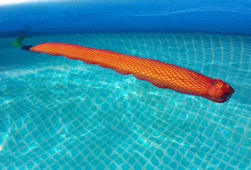 Pool feinfilter mikrofilter - -,