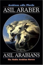 Arabiens edle pferde asil - pferde.,