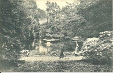 AK Essen a. d. Ruhr -Teich im