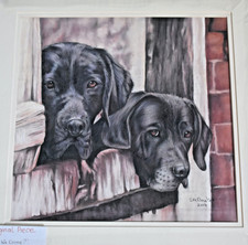 SUSAN ANNE BAXTER ORIGINAL