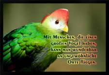 Fußmatte Schmutzfangmatte