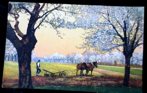 61235 photochromie dresden - 61235, ak