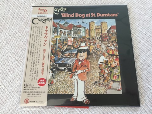 Caravan blind dog - blind,