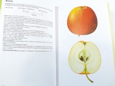 Herbert Petzold alte