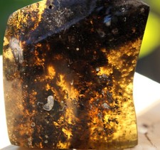 Rohbernstein Bernstein