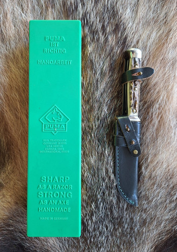 Puma kleiner jagd nicker vom - jagd,