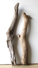 Treibholz Schwemmholz Driftwood 2 XL   Hölzer  Basteln Terrarium  57 -  68 cm