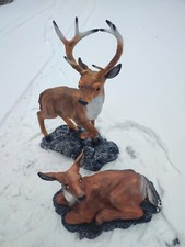 Hirsch + Reh Paar auf Felsen