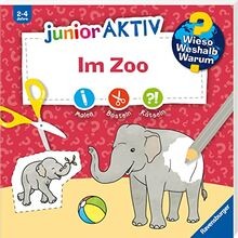 Wieso weshalb warum - wieso?, junior