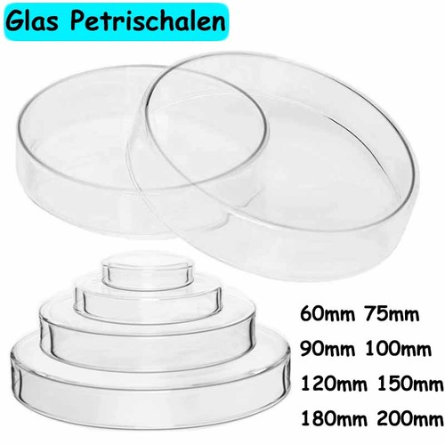 Glas petrischale schale - glas, +