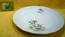 Weißwasser Porzellan Flacher Teller Essteller Blumen Goldrand Ersatz 46 DDR