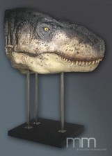 Muckle Oxmox Life Size Figur