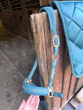 Eskadron Halfter Vintage Green, Gr. V/VB/Cob