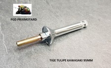 Kawasaki Z 900 A4 1976 Pfote