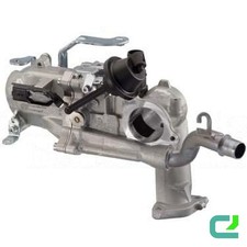 Kühler Abgasrückführung