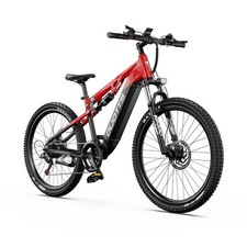 Herren E-Bikes E29