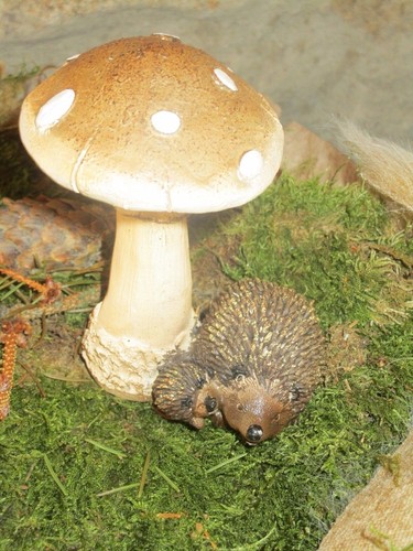 Pilz mit igel sitzend auf - pilz,