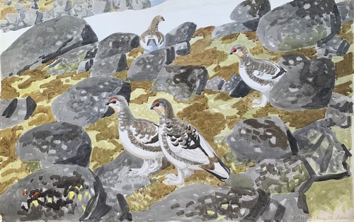 Aquarell 1958 karl adser - 1958,