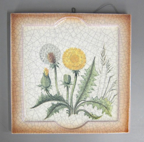 Fliese löwenzahn pusteblume - fliese,