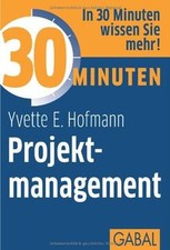 30 Minuten Projektmanagement von Yvette E. Hofmann | Buch | Zustand sehr gut