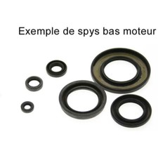 CENTAURO Satz Simmerringe CA